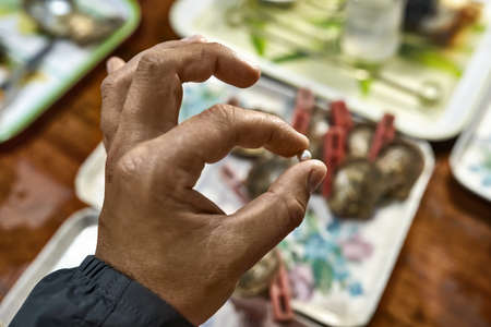 Person holding little pearl from oyster in his handの写真素材