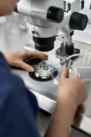 Process of in vitro fertilization in laboratoryの写真素材