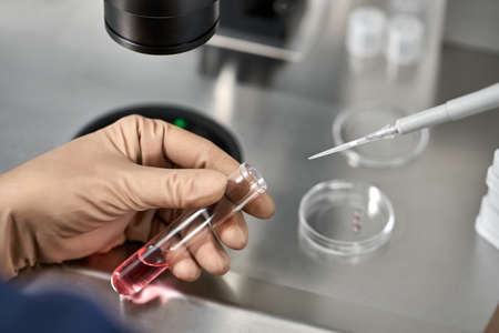 Process of in vitro fertilization in laboratoryの写真素材
