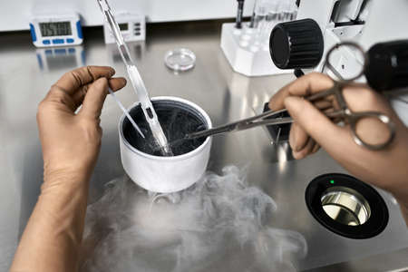 Process of in vitro fertilization in laboratoryの写真素材