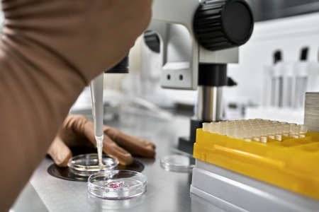 Process of in vitro fertilization in laboratoryの写真素材