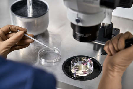 Process of in vitro fertilization in laboratoryの写真素材