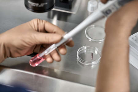 Process of in vitro fertilization in laboratoryの写真素材