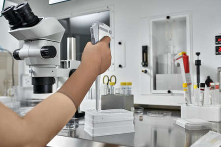 Process of in vitro fertilization in laboratoryの写真素材