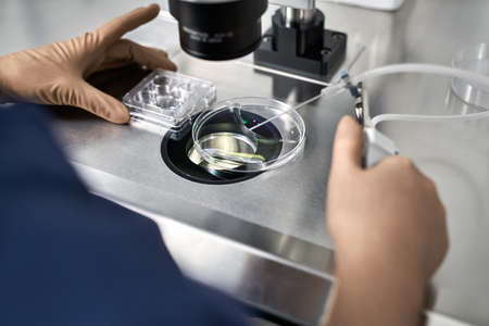 Process of in vitro fertilization in laboratoryの写真素材