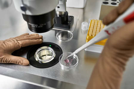 Process of in vitro fertilization in laboratoryの写真素材