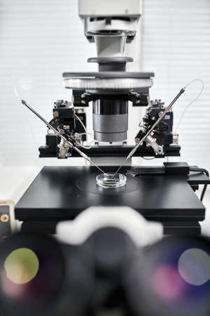 Process of in vitro fertilization in laboratoryの写真素材