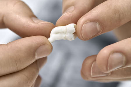 Man's hands are holding an extracted molar tooth on the blurred background. Closeup horizontal photo.の写真素材