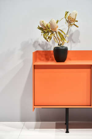 Luminous room with colorful stand with plantsの写真素材