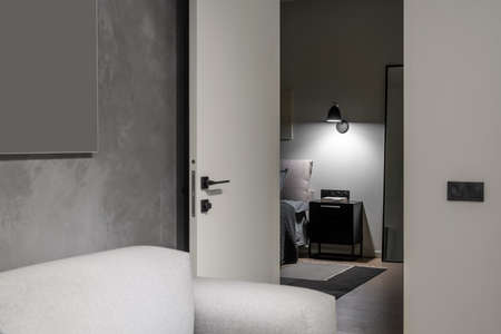 Modern interior with different walls and a carpet on the parquet floor. There is a bed with gray linens and a pillow, black nightstand with a book, tall mirror, luminous dark lamp, gray sofa, door.の写真素材