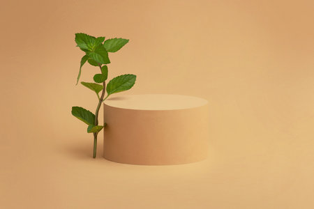 Beige background with podium and mint. Background for goods, cosmetics.の写真素材