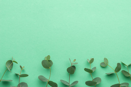 green background with eucalyptus branchesの写真素材