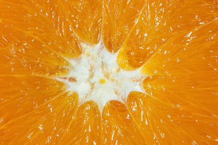 Macro texture of ripe cut orangeの写真素材