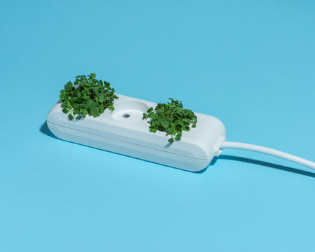 green energy. Rosette with plant sprouts. Caring for the environment.の写真素材