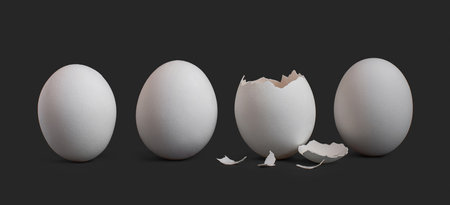 Chicken eggs on a black background