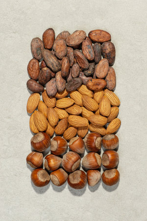 Nuts, cocoa beans and sugar on a stone gray background. chocolate composition.の写真素材