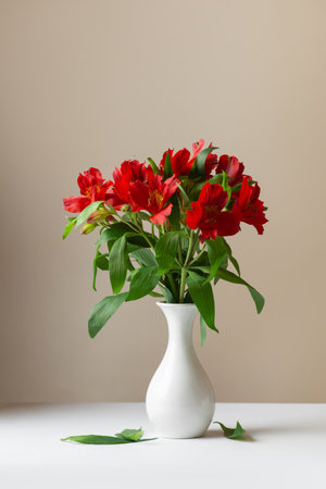 colorful alstroemeria flowers on a beige backgroundの写真素材
