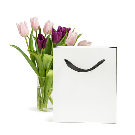 Tulips on a white backgroundの写真素材