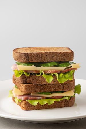 sandwich with meat, cheese and vegetables on a gray backgroundの写真素材