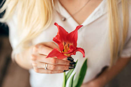 Beautiful girl who sits on the floor holds a beautiful pink tulipの写真素材