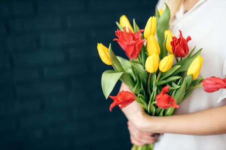 beautiful yellow and pink tulips girl holding hands on black backgroundの写真素材
