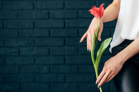 beautiful yellow and pink tulips girl holding hands on black backgroundの写真素材