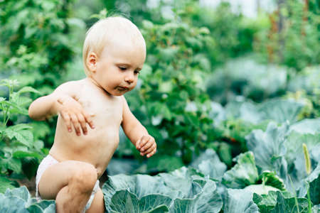 a dirty child with blue eyes is played outdoors in nature in the village in the summerの写真素材