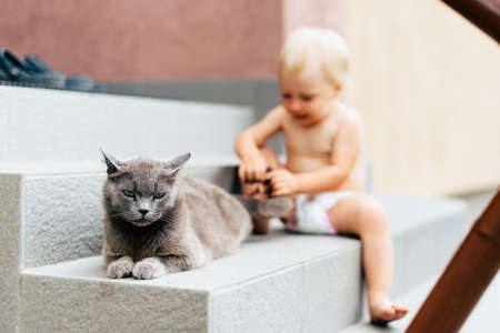 a dirty child with blue eyes is played outdoors in nature in the village in the summer with the catの写真素材