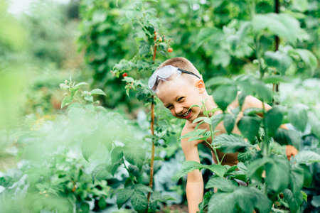 a dirty child with blue eyes is played outdoors in nature in the village in the summerの写真素材