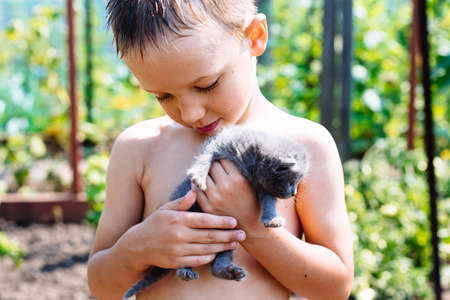 a dirty child with blue eyes is played outdoors in nature in the village in the summerの写真素材