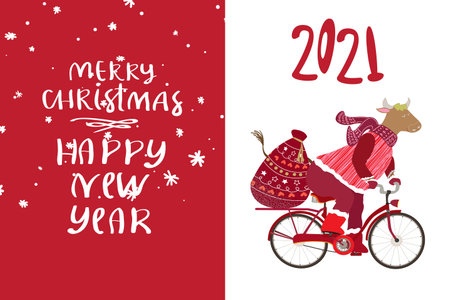 Merry Christmas and Happy New Year background with cow.のイラスト素材