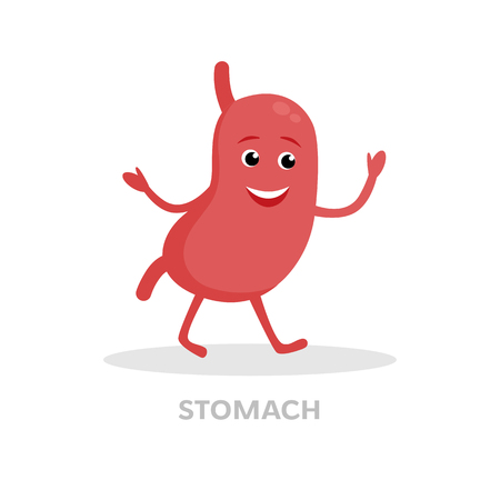 Smiling stomach cartoon character isolated on white background. Digestive tract, stomach icon vector flat design. Healthy organ concept medical illustrationのイラスト素材