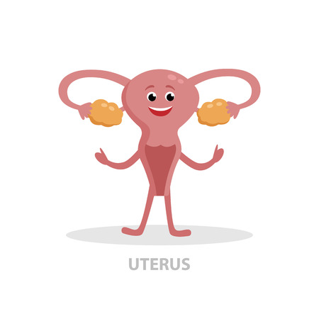 Happy uterus cartoon character vector flat illustration isolated on white background. Good woman health concept icon for medical infographic design.のイラスト素材