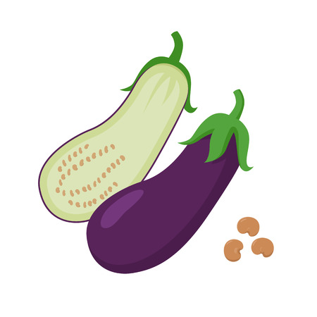Eggplant vector flat illustration. Whole and halved eggplant and seeds isolated on white background. Packaging design element.のイラスト素材
