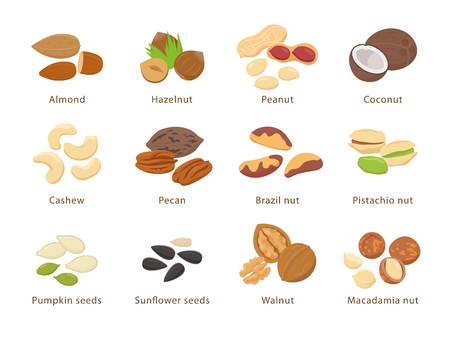 Nuts and seeds in flat design vector set of illustrations. Collection of nuts, seeds icons, infographic elements isolated on white background.のイラスト素材