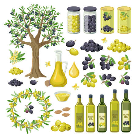 Large collection of olives food, products, olive oil bottles, olive tree, groups of black and green olives, canned, pickled, branches and leaves. Olives infographic elements isolated on white.のイラスト素材