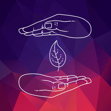 Hands and plant icon. Vector hand hold leafのイラスト素材