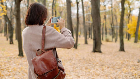woman taking photo in autumn park, back viewの写真素材
