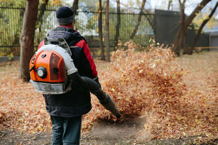 Worker cleaning lawn in park from Dead Leaves using gas powered Leaf Blowerの写真素材