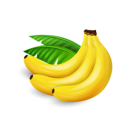 bananaのイラスト素材