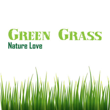 green grassのイラスト素材