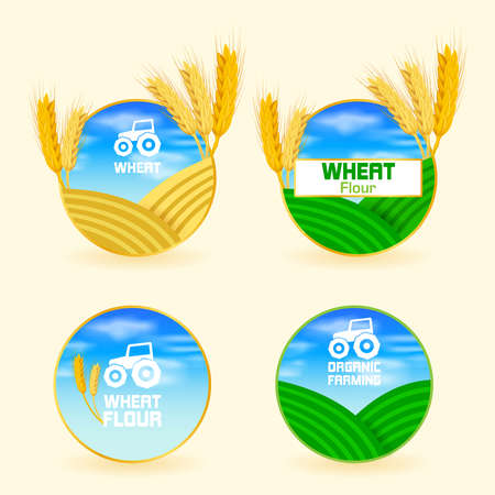 wheatのイラスト素材