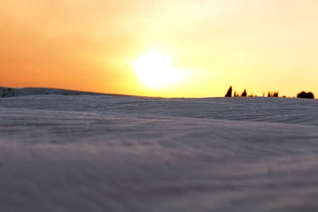 Winterのeditorial素材