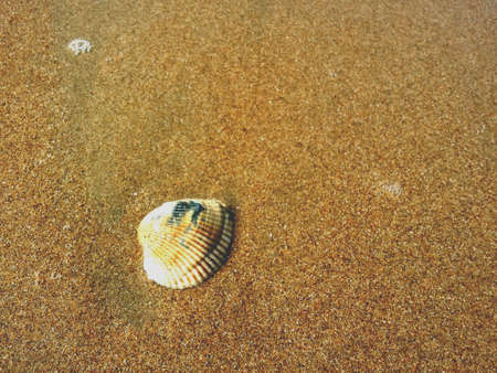 Sand