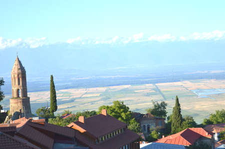 Skyline panorama from Signagy city