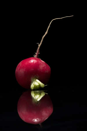 red  radish with reflexの写真素材