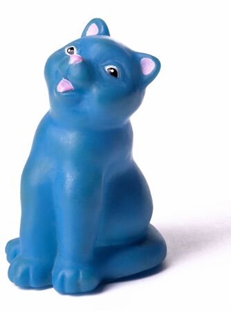 blue catの写真素材