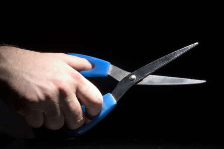 clippers in the handの写真素材