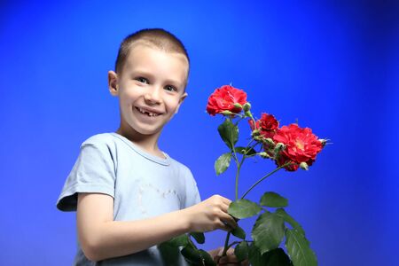 a boy with flowers on blue backgroundの写真素材