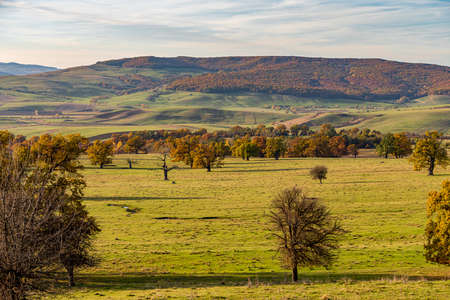 Autumnの写真素材